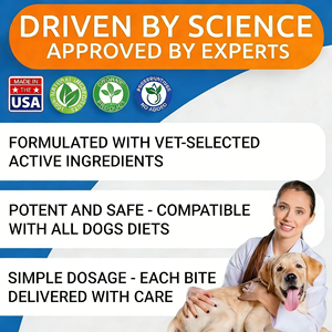 Suplemento Masticable para Alergias en Mascotas (Perros, Gatos, Aves) OEM/ODM, Alivia Alergias Estacionales, Refuerza la Inmunidad, Alivia la Picazón y Mejora la Salud de la Piel - Product Image 3