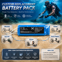 Batterie personnalisée pour détecteur de métaux de plage Minelab Garrett Fisher White Tesoro 12V 1400mAh rechargeable Ni-MH OEM