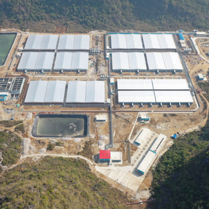 Proyecto de Granja Porcina para 5000 Cerdas, Servicio OEM, Compra en un Solo Lugar, Suministro de Planos - Product Image 1