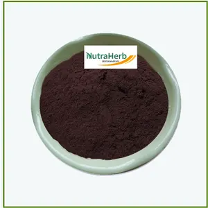 Organic High Quality 25% Anthocyanin Extract Cranberry Extract for Food Supplements