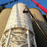 Système de structure en acier renforcé pour silo à scories de 2000 tonnes pour matériaux à haute densité, travaux d'ingénierie industrielle