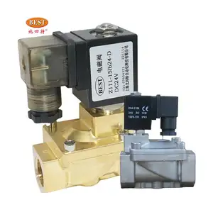 Katup solenoid hidrolik, katup solenoid air hidrolik Z111 2 arah katup air listrik 12V 24V dc 110V 220V ac 1 inci katup solenoid kuningan