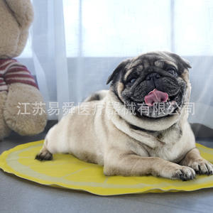 แผ่นรองทำความเย็นสำหรับสัตว์เลี้ยง ยี่ห้อ Yishun รุ่น YS-BD600 แบบเจลนำกลับมาใช้ใหม่ได้ สำหรับสุนัขและแมว ใช้ในห้องนั่งเล่น - Product Image 3