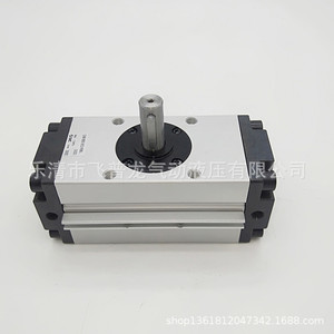 Cylindre pneumatique rotatif Cdra1bw80 180, corps en aluminium, cylindre à piston standard pour l'automatisation industrielle - Product Image 5