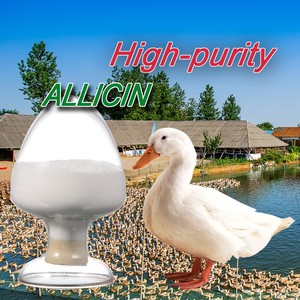 Chất lượng cao 10% <span class=keywords><strong>allicin</strong></span> bột thức ăn lớp phụ gia cho gia cầm và chăn nuôi - Product Image 3