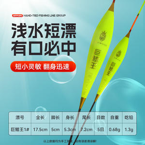 Flotador de pesca Jiowang Stream Float de 17.5 cm con perfil en T, sensible, para ríos - Product Image 1