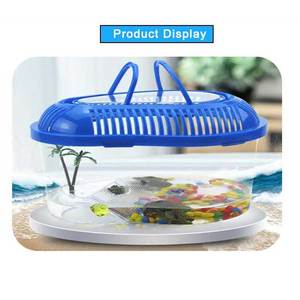 Boîte <span class=keywords><strong>d</strong></span>'alimentation plate en plastique personnalisé avec réservoir <span class=keywords><strong>d</strong></span>'humidité de Reptile de Dragon <span class=keywords><strong>barbu</strong></span> avec Cage de Reptile <span class=keywords><strong>d</strong></span>'<span class=keywords><strong>aquarium</strong></span> de plantes - Product Image 6