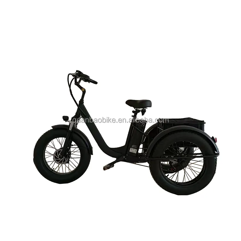 Bicicleta para Discapacitados de tres ruedas, 6 velocidades, potencia, tres ruedas, bicicleta de carga eléctrica, triciclos de carga de 3 ruedas, bicicletas eléctricas de neumáticos gruesos