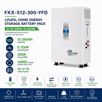 Batterie de stockage d'énergie solaire LiFePO4 sur pied 51,2V 300Ah 15,36kWh, pack d'alimentation au lithium avec BMS 200A intégré