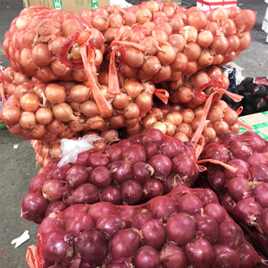 Trung quốc cây trồng mới nhà máy bán hàng trực tiếp màu đỏ tươi hành tây Nhà cung cấp giá - Product Image 6