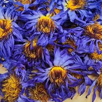 Lotus bleu frais aux herbes