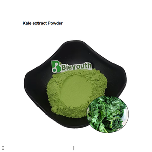 ケールリーフジュースエキス有機フリーズドライケールパウダー - Product Image 1