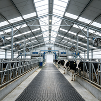 Structure en acier préfabriquée pour ferme d'élevage, hangar isolé pour vaches laitières, grand hangar d'élevage de bétail