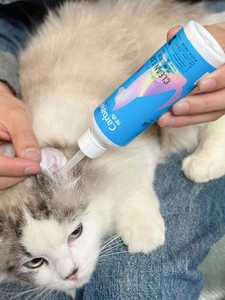 قطرات أذن عضوية للحيوانات الأليفة للقطط والكلاب المنزلية 120 مل، منتج للعناية بالأذن وتنظيفها وعلاج التهابات الأذن - Product Image 2