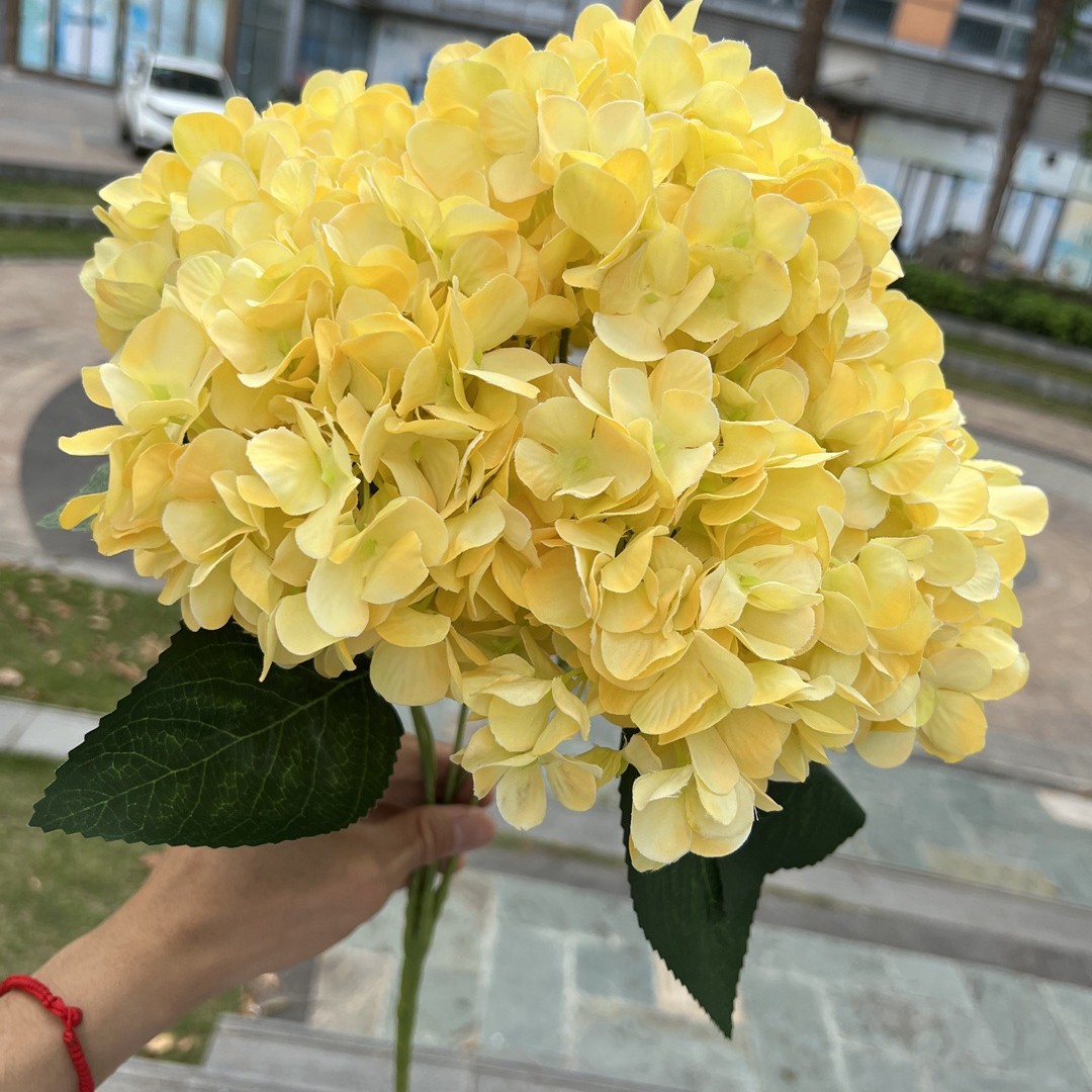 C-12 giallo limone