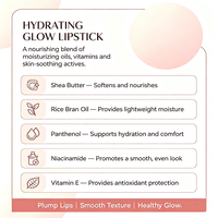 Lip Gloss Balm Juicy Plumping Private Label, Lip Glaze Cermin, Lipstik Tahan Air Melembapkan, Makeup Kecantikan yang Menghidrasi