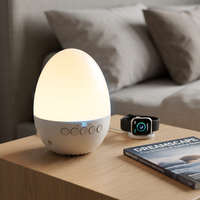 Machine à Sons Apaisants Intelligente pour le Sommeil, Portable, à Bruit Blanc, avec Minuteur, Rechargeable, Audio de Chevet pour le Voyage