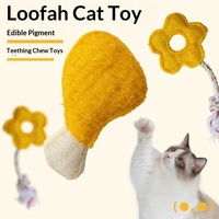 Jouet à mâcher pour chat en loofah, auto-entretenant, anti-ennui, nettoyage dentaire, bâtonnet de stimulation pour chat, modèle 2024