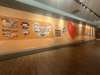 Tissu en velours floqué extra large de 5 mètres, matériau mural mat de qualité supérieure pour stand d'exposition, cinéma et maison de luxe