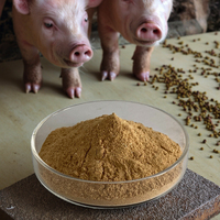 Additif alimentaire standard pour porcs | Profil d'acides aminés équilibrés (Lysine 12%) | Optimisé pour une phase d'engraissement de 25 à 100kg