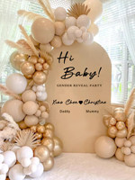 Décorations de fête de révélation du sexe par impression numérique moderne, toile de fond personnalisée en panneau KT pour bébé garçon ou fille, arrière-plan photo pour baby shower