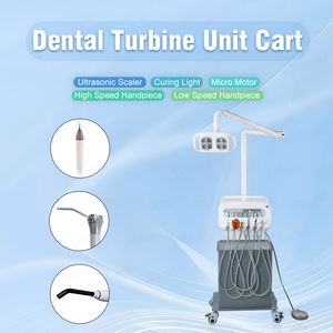 Escalador pieza de mano portátil integrado compresor de aire carro dental unidad carro salón de belleza lámpara de luz LED veterinaria - Product Image 2