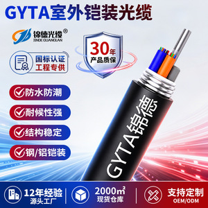 Cable Óptico Blindado Gyta G652d, Fibra Trenzada para Exteriores, para Ingeniería de Comunicaciones - Product Image 3