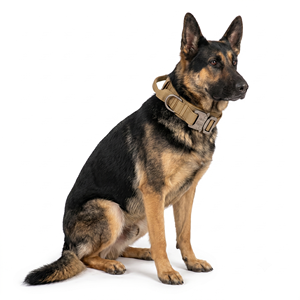 Collier large en nylon pour <span class=keywords><strong>chien</strong></span> avec poignée de contrôle doublée et boucle en alliage pour chiens de travail de taille moyenne à grande - Product Image 1
