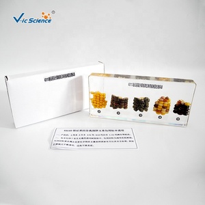 Échantillons d'enseignement biologique et génétique pour la vérification du principe de ségrégation génétique du maïs - Product Image 2