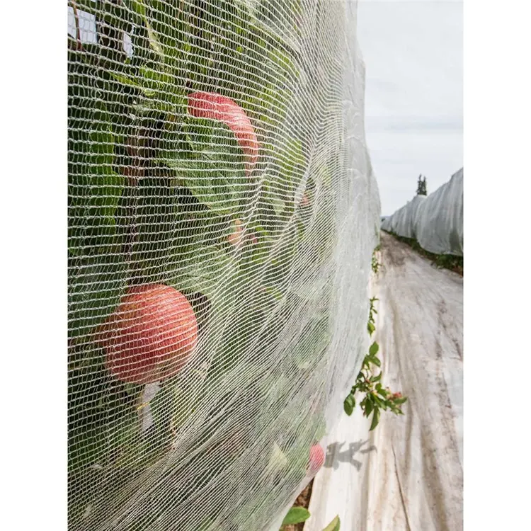 100% 新しいHDPEプラスチック農場野菜保護温室ネット防虫メッシュプラスチックネット