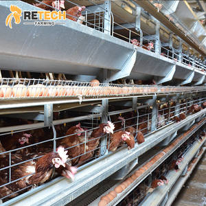 20000 döşeme tavukları için otomatik 4 katlı H tipi tavuk yumurta tabakası pil kafesleri - Product Image 3