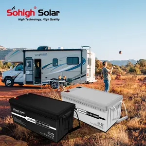 Caricabatterie per Batterie al Litio RV 12v 24v 48v 100a 200ah Ciclo Profondo per Barche, Golf Cart, Solare, Pacchi Batterie agli Ioni di Litio Lifepo4 - Product Image 1