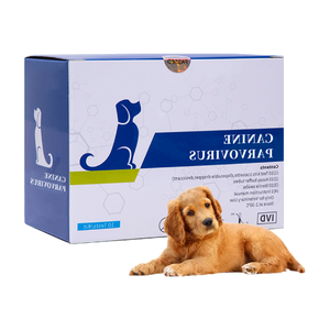Kit de bandelettes de <span class=keywords><strong>test</strong></span> de <span class=keywords><strong>parvovirus</strong></span> canin rapide et précis testeur CPV OEM pour animaux chiens chats bandelettes de <span class=keywords><strong>test</strong></span> 10 bandelettes/boîte - Product Image 3