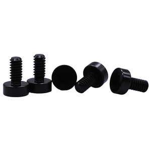 Tùy chỉnh phi tiêu chuẩn thép không gỉ nhôm titan vít chính xác gia công CNC ốc vít nhà sản xuất - Product Image 1