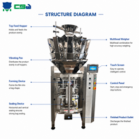Automatic 1-20G 1-100G Small Pouch Food Sugar Nuts Spice Tea Leaf Sachet Packaging Multifunctional Packaging Machine