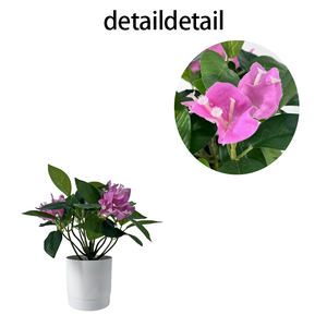 Cây Bonsai nhân tạo <span class=keywords><strong>mini</strong></span> màu xanh, trồng trong chậu, thân thiện với môi trường, chất liệu nhựa bền lâu, dùng trang trí nhà cửa, vườn, tiệc tùng, khách sạn - Product Image 4