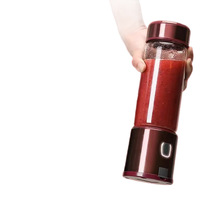 Mixeur Portable en Verre pour Fruits, Tasse à Jus Électrique Domestique, Mini-Mixeur de Voyage Rechargeable de Luxe 450ml