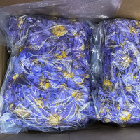 Teh Bunga Herbal Kering Buatan Tangan Rasa Sehat Clpp Blue Lotus Kemasan Hadiah