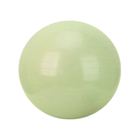 Ballon de Yoga Anti-Éclatement Épaissi Antidérapant 55 65 75cm pour Pilates et Entraînement de l'Équilibre Central - Vente en Gros