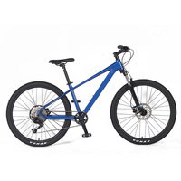 Chaîne de cascades à bas prix Cube de cycle personnalisé Portable famille autre vélo Suspension complète Trail 29 pouces VTT