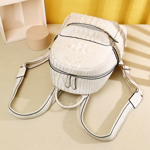 Bolsos de Diseñador de Marcas Famosas para Mujer, Nuevo Diseño con Relieve de Cocodrilo, Grande, Impermeable, Cierre de Cremallera, Silicona - Product Image 5