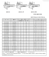 Raccords de Tuyaux Hydrauliques Haute Pression Droits Multi-étanchéités en Acier au Carbone Zingué BSP Femelle G1/8"-G2" Série 22111