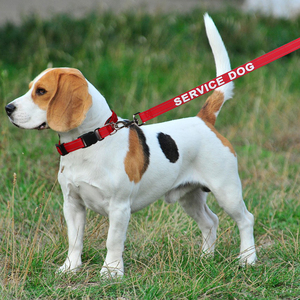 Usine USB Type C Rechargeable LED Chien Laisse Lumière Rougeoyante Trois Modes <span class=keywords><strong>Flash</strong></span> Nylon Clignotant Chien Laisse pour Rubans Personnalisés - Product Image 6