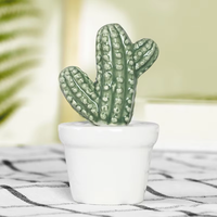 Ensemble de Décoration en Céramique pour Plantes Succulentes et Cactus avec Pots Modernes pour la Maison, le Bureau et les Ornements Verts de Table