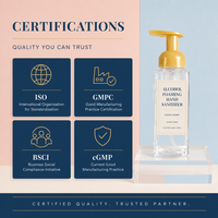 Désinfectant Mousse Anti-Bactérien à Base d'Alcool, Séchage Rapide, Écologique, Sans Eau, Hygiène des Mains en Mousse, Pompe Distributrice, Logo Personnalisé pour