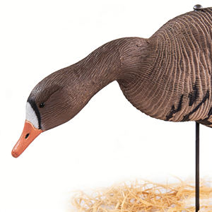 Señuelo de Caza de Ganso con Plumas Blancas y Manchas en la Frente, de EVA, Ecológico y Ligero para Uso en Exteriores - Product Image 3