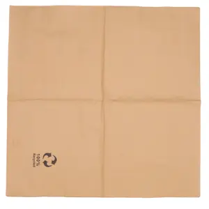 Plain and simple natural wood pulp napkins holiday parties daily life Recyclable environment friendly tissue napkins