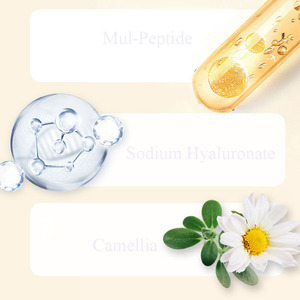 Aceites <span class=keywords><strong>de</strong></span> suero <span class=keywords><strong>de</strong></span> aceite esencial <span class=keywords><strong>de</strong></span> lavanda mensaje al por mayor a granel para la cara - Product Image 6