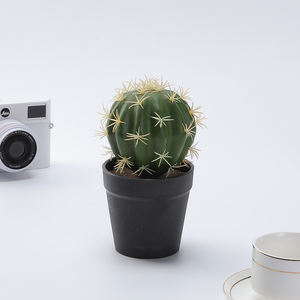 Cactus Artificiel En Pot Décoration Figue De Barbarie Fée Colonne Succulente Plante Simulée Décoration Bonsaï - Product Image 4