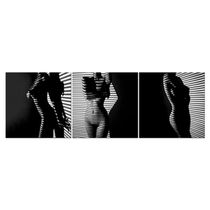 Modern Sexy Lady Figure <strong>Nude</strong> Paintings White and Black Unframed Acrylic Wall <strong>Art</strong> 3 Panels As a Set for Bed Room Living Room - Product Image 5